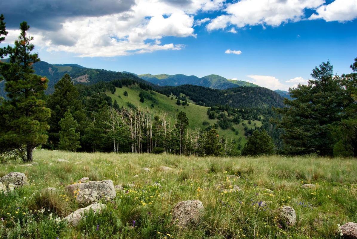 Country Cabin, 2 Bedrooms, Fireplace, Midtown, Sleeps 6 Ruidoso Εξωτερικό φωτογραφία
